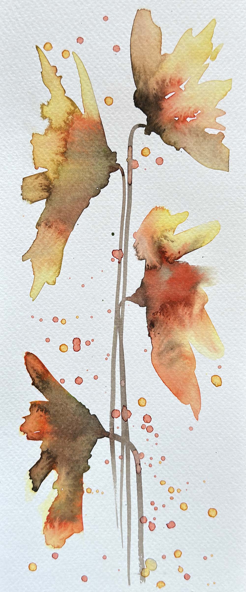 250710-014