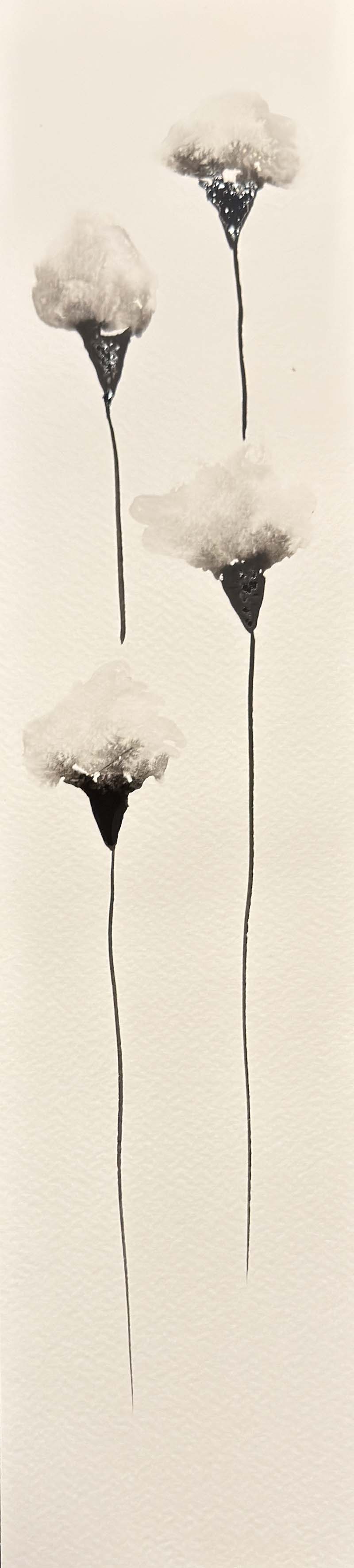 250711-002