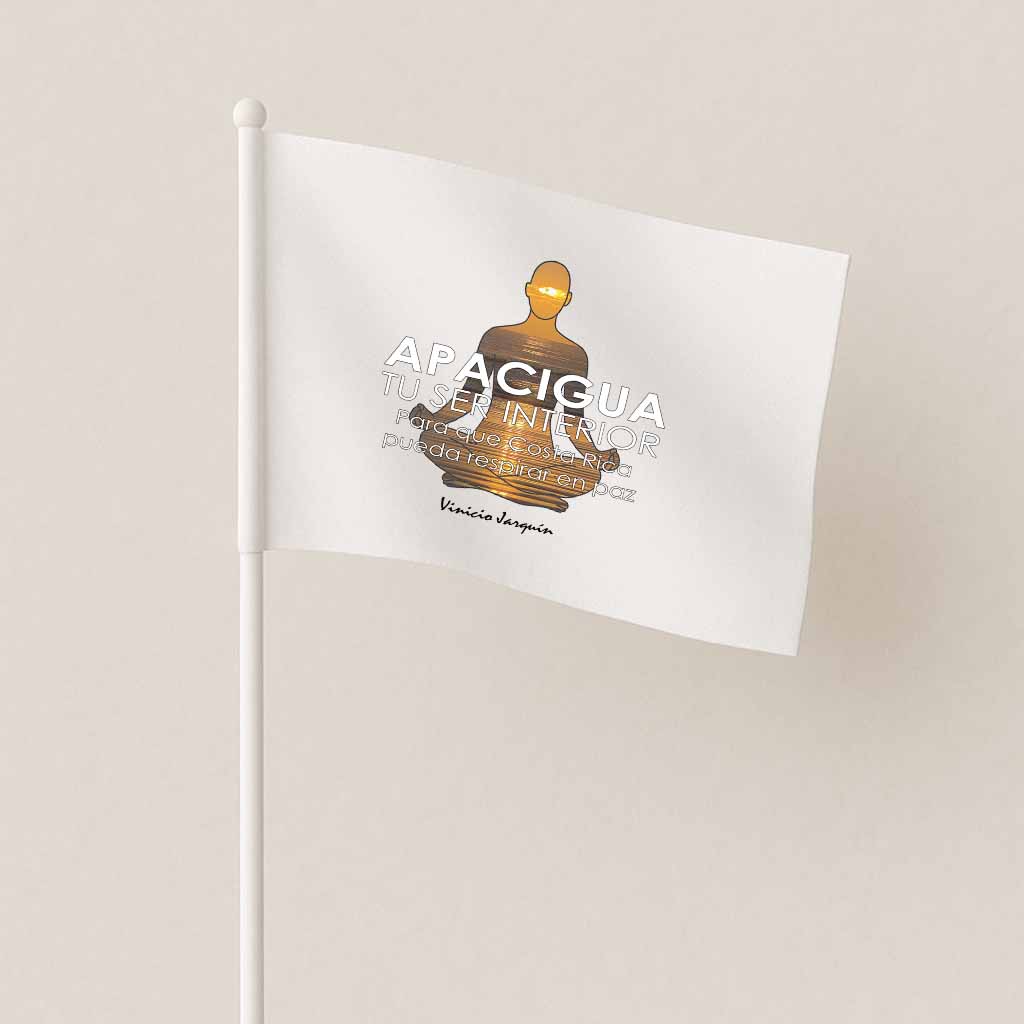 APA - Bandera colores